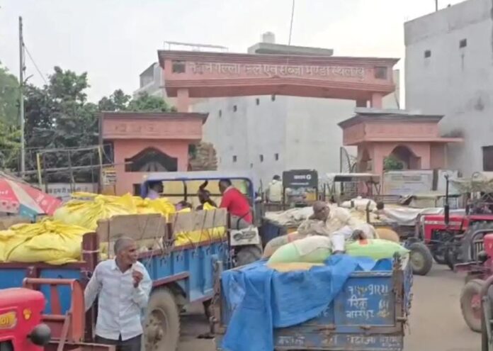 WhatsApp Image 2025-10-02 at 5.24.59 PM