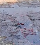 WhatsApp Image 2025-10-22 at 12.42.16 PM