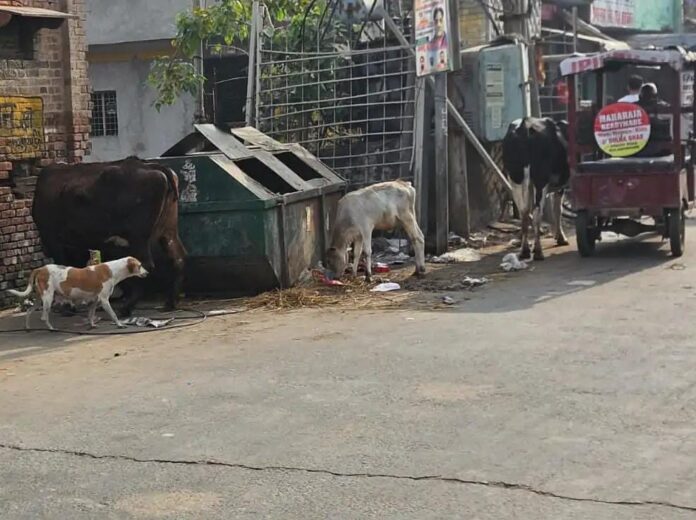 WhatsApp Image 2025-10-29 at 12.09.42 PM